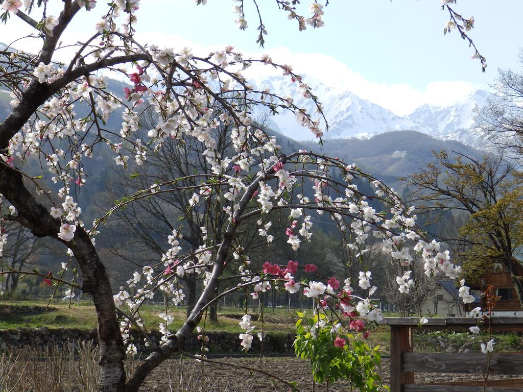 Heidihof Hotel Hakuba Eksteriør billede