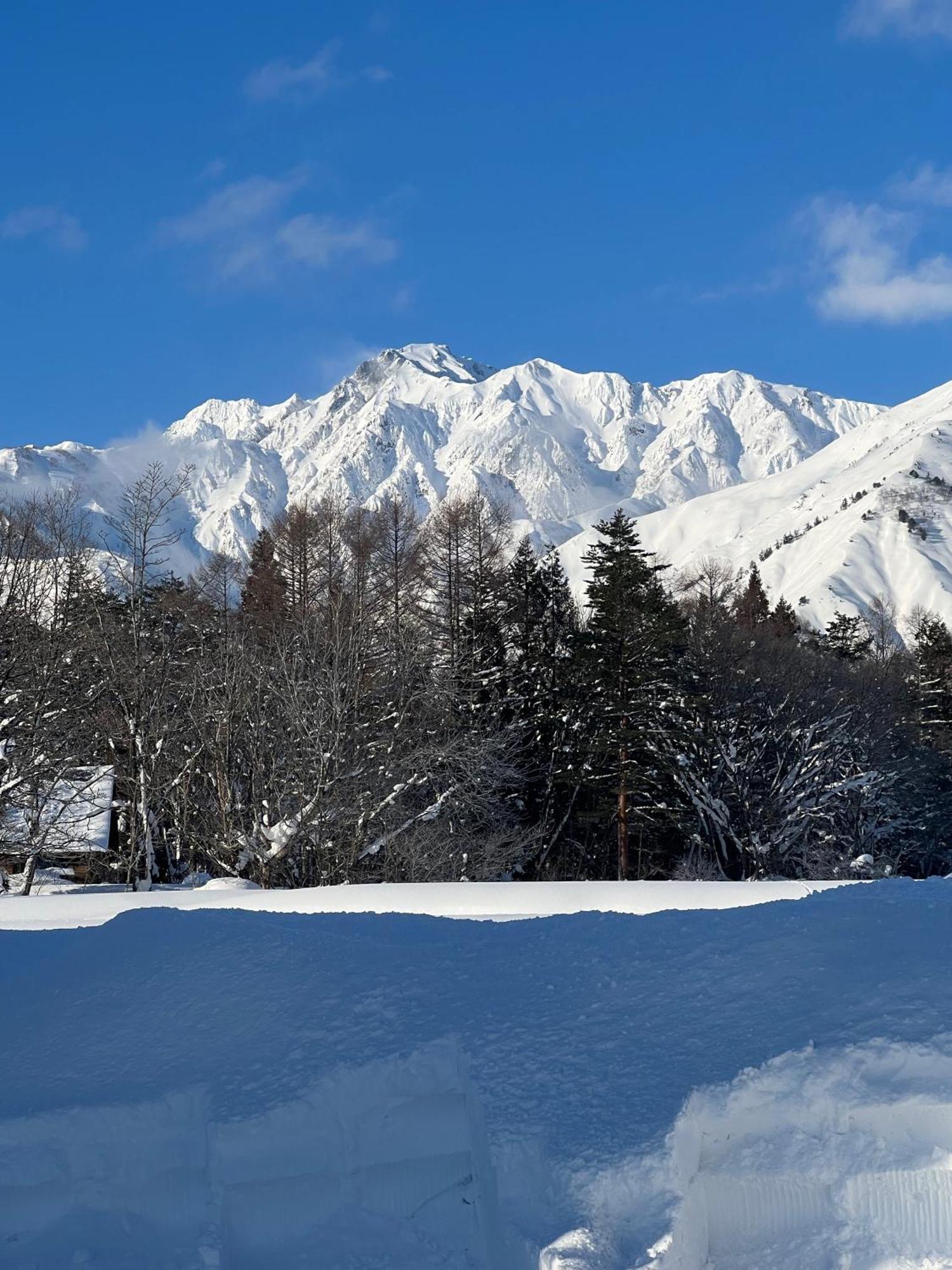 Heidihof Hotel Hakuba Eksteriør billede