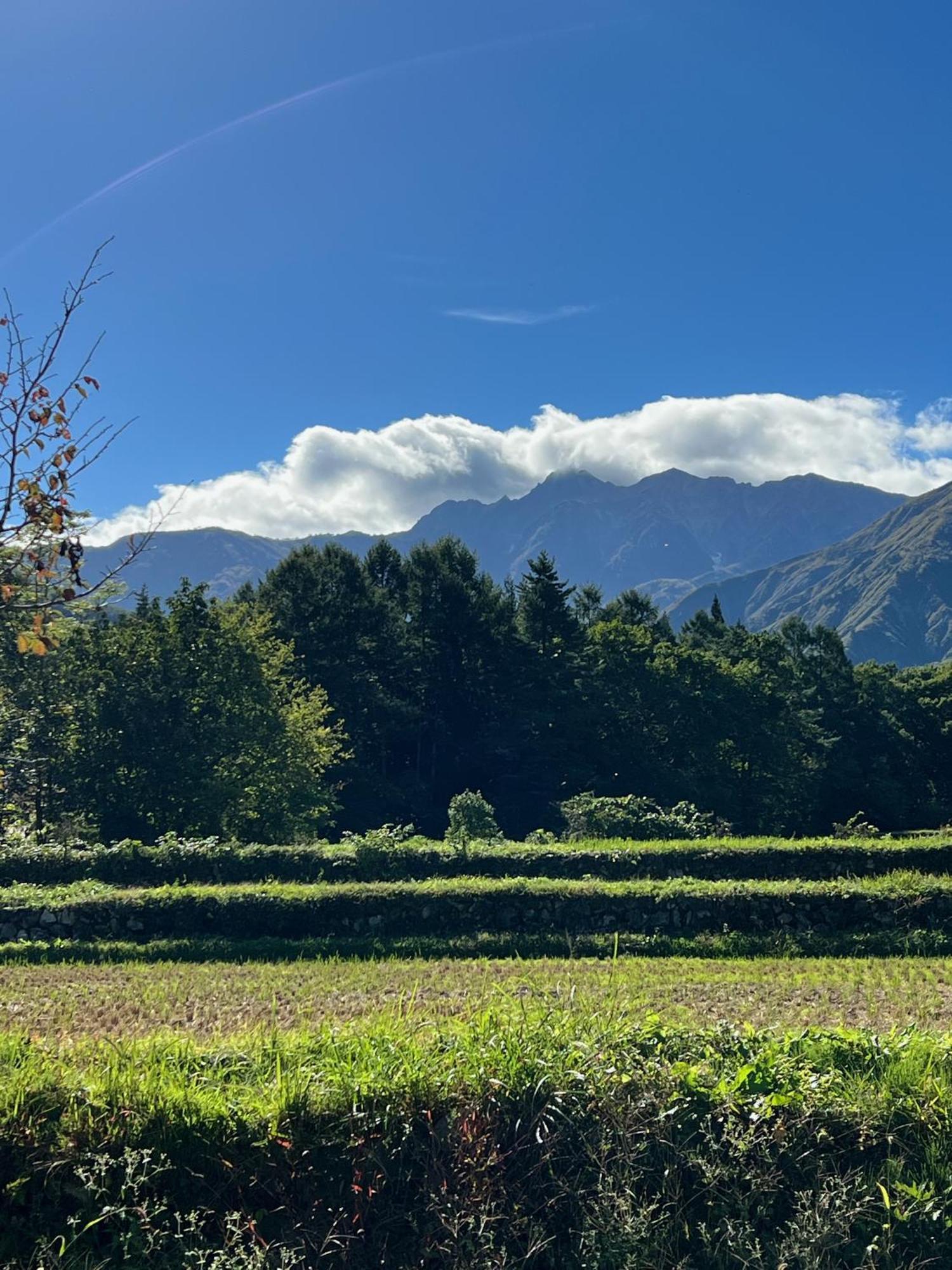 Heidihof Hotel Hakuba Eksteriør billede
